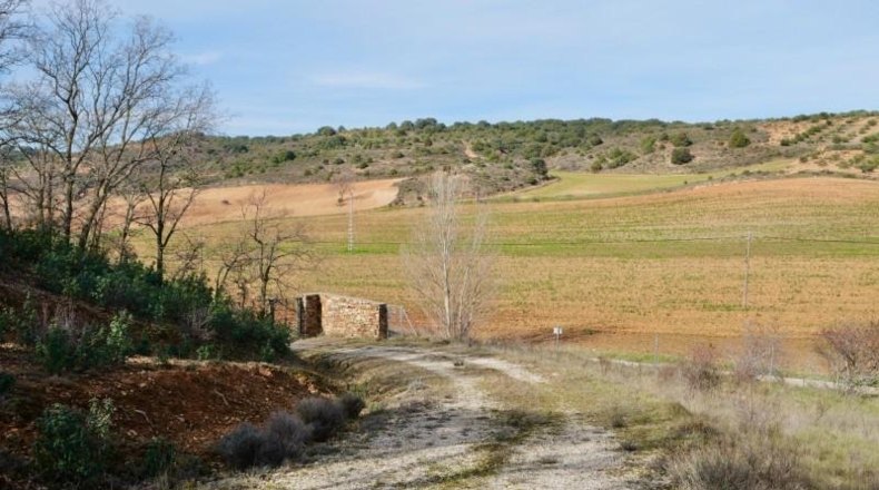 Guadalajara - Arbancón - 370000m2