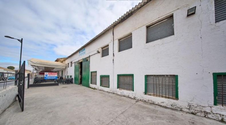 Granada - Chauchina - 776m2