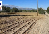 Xalet independent amb terreny en venda a la España, Roquetes, ref.: TR171917 foto