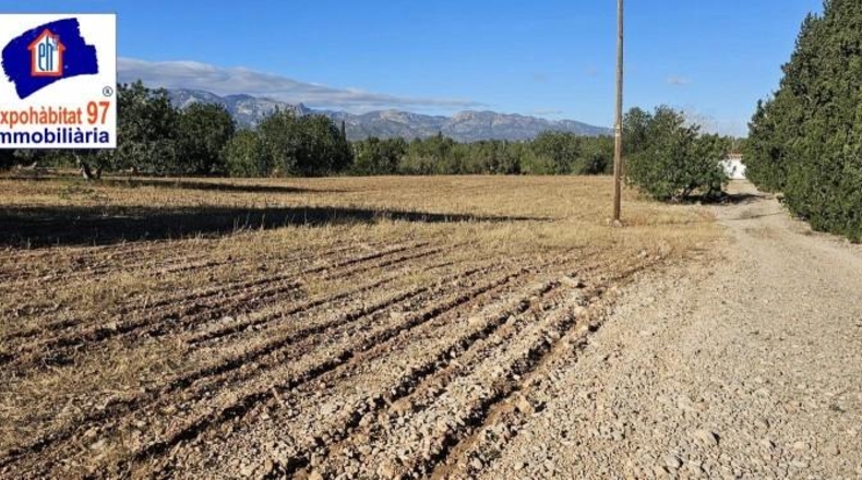 Tarragona - Roquetes - 28758m2