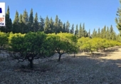 Xalet independent amb terreny en venda a la España, Roquetes, ref.: TR171917 foto