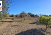 Xalet independent amb terreny en venda a la España, Roquetes, ref.: TR171917 foto