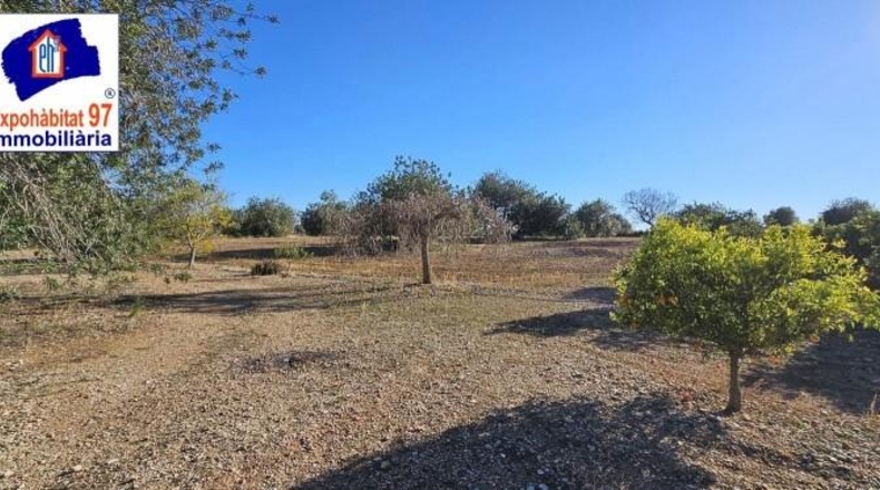 Tarragona - Roquetes - 28758m2