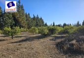 Xalet independent amb terreny en venda a la España, Roquetes, ref.: TR171917 foto