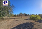 Xalet independent amb terreny en venda a la España, Roquetes, ref.: TR171917 foto