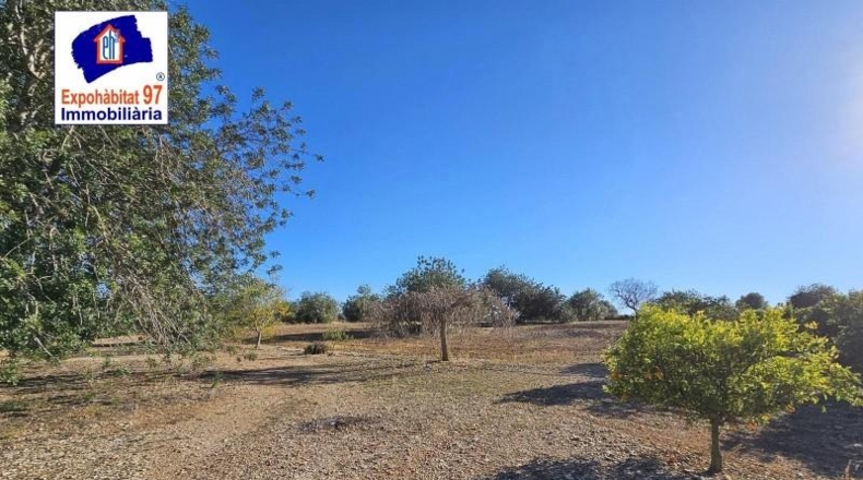 Tarragona - Roquetes - 28758m2