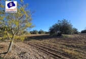 Xalet independent amb terreny en venda a la España, Roquetes, ref.: TR171917 foto