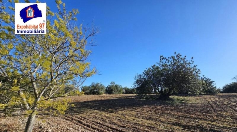 Tarragona - Roquetes - 28758m2