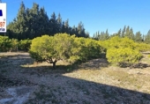 Xalet independent amb terreny en venda a la España, Roquetes, ref.: TR171917 foto