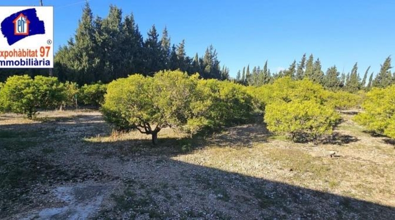 Tarragona - Roquetes - 28758m2