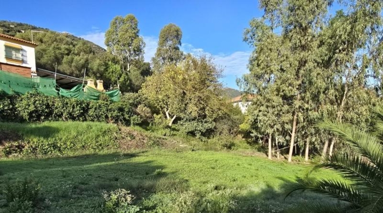 Cádiz - Los Barrios - 5000m2