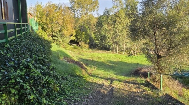Cádiz - Los Barrios - 5000m2