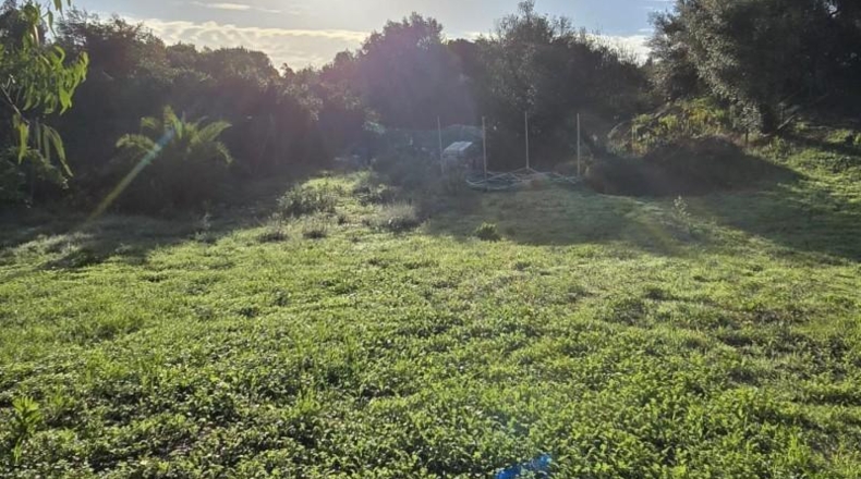 Cádiz - Los Barrios - 5000m2