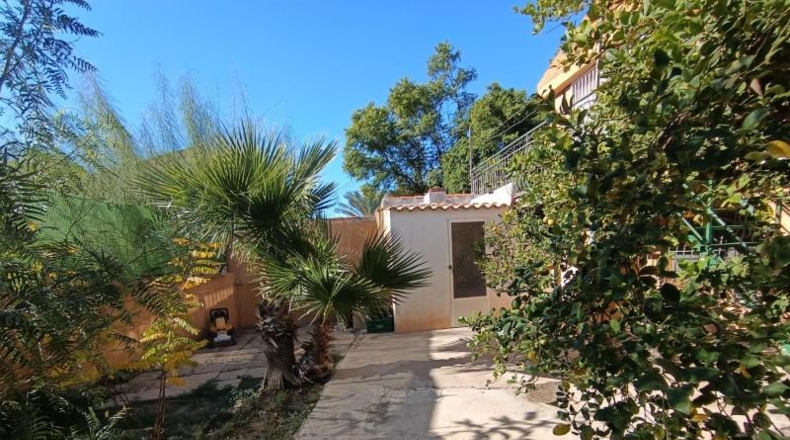 Murcia - Molina de Segura - 840m2