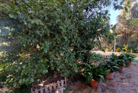 Foto 13
