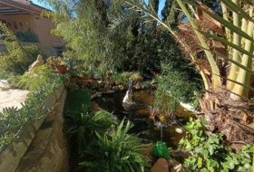 Foto 15