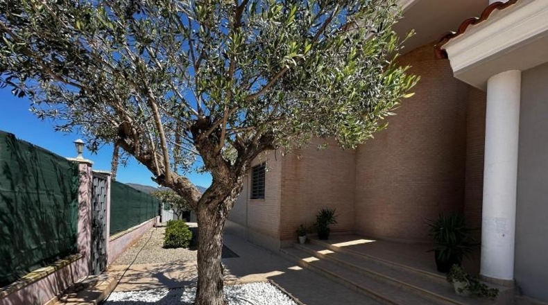 Valencia - Llíria - 603m2