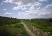 Land suitable for development for sale on España, Arcos de la Frontera, ref: TR259006 photo