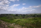 Land suitable for development for sale on España, Arcos de la Frontera, ref: TR259006 photo