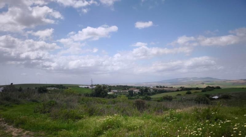 Cádiz - Arcos de la Frontera - 61m2