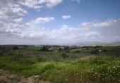 Land suitable for development for sale on España, Arcos de la Frontera, ref: TR259006 photo