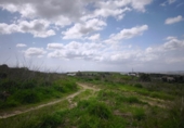 Land suitable for development for sale on España, Arcos de la Frontera, ref: TR259006 photo