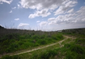 Land suitable for development for sale on España, Arcos de la Frontera, ref: TR259006 photo