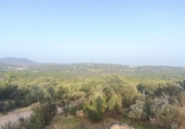 Granja en venda a la España, Galapagar, ref.: TR304533 foto