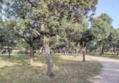 Granja en venda a la España, Galapagar, ref.: TR304533 foto