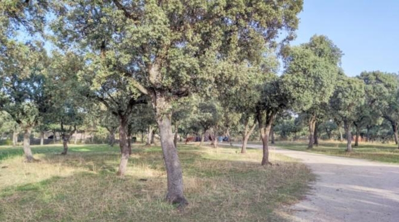 Comunidad de Madrid - Galapagar - 20000m2