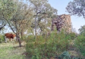 Granja en venda a la España, Galapagar, ref.: TR304533 foto