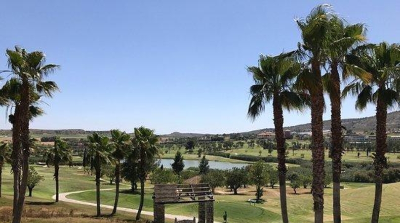 Alicante - Algorfa - 317m2