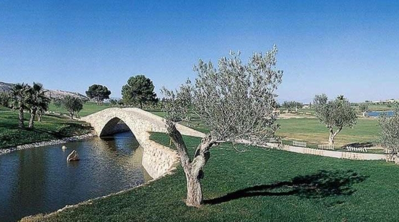 Alicante - Algorfa - 317m2