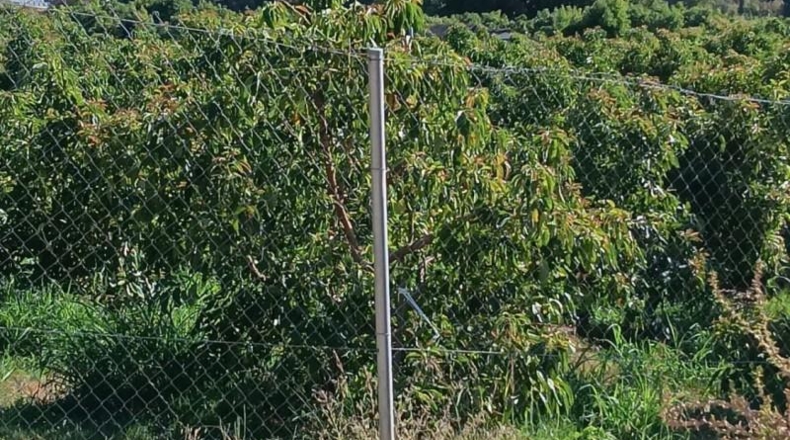 Málaga - Estepona - 4112m2