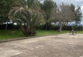 Casa de campo con terreno en venta en la España, els Poblets, ref: TR270491 foto