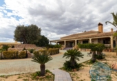 Xalet independent amb terreny en venda a la España, Elx, ref.: TR288759 foto