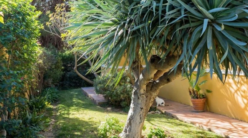 Малага - Marbella - 191m2