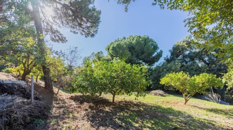 Малага - Marbella - 191m2