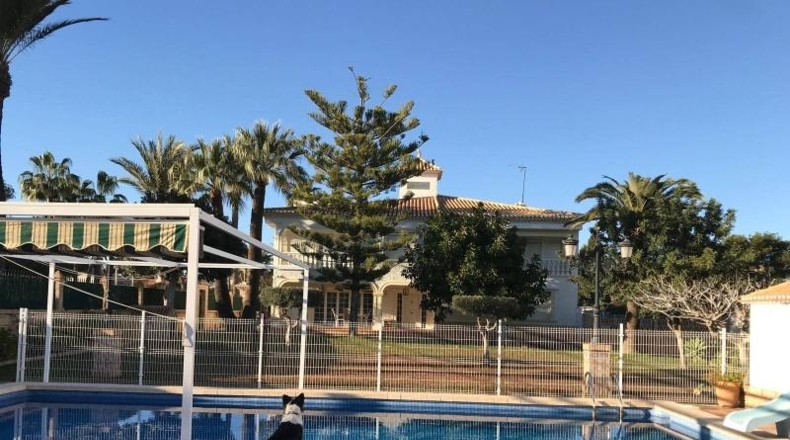 Alicante - Orihuela - 1500m2