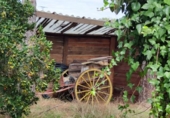 Chalet independiente con terreno en venta en la España, Galapagar, ref: TR141572 foto