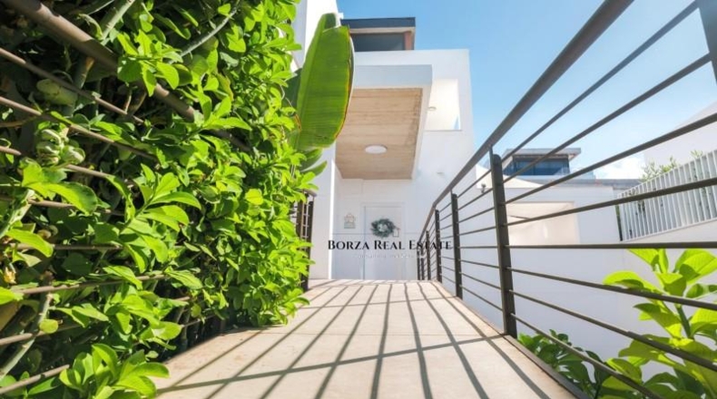 Santa Creu de Tenerife - Adeje - 900m2