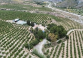 Casa amb terreny en venda a la España, Múrcia, ref.: TR399088 foto