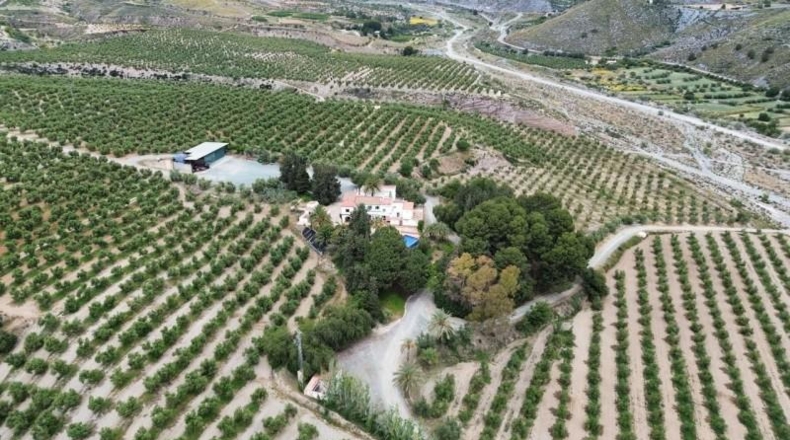 Murcia - Murcia - 1650000m2