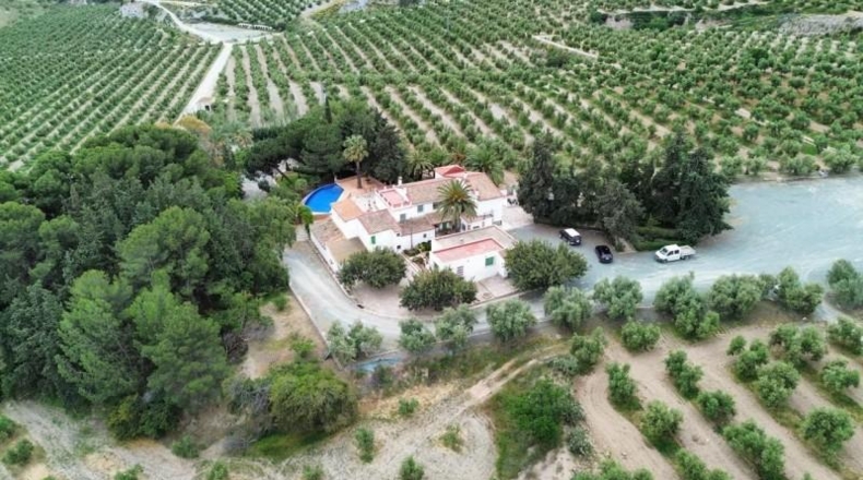 Murcia - Murcia - 1650000m2