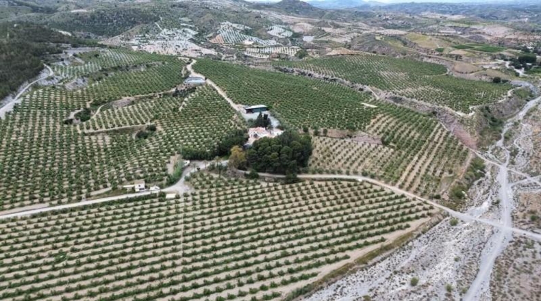 Murcia - Murcia - 1650000m2