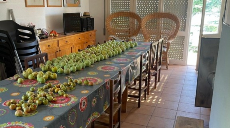Barcelona - Castellnou de Bages - 1413m2