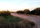 Land suitable for development for sale on España, La Vall d'Uixó, ref: TR404078 photo