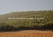 Sòl urbà en venda a la España, Humilladero, ref.: TR315222 foto