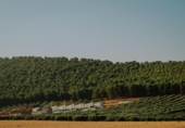 Sòl urbà en venda a la España, Humilladero, ref.: TR315222 foto