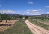 Terreny no urbanitzable en venda a la España, Monòver, ref.: TR129112 foto